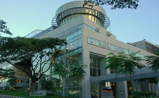 新加坡留學中介 助力自費出國留學，成就國際化教育夢想